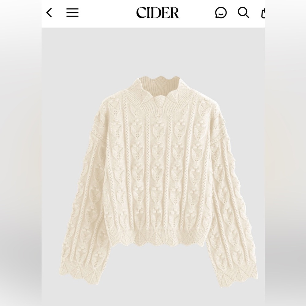 NWT Cider Cream Cable Knit Sweater